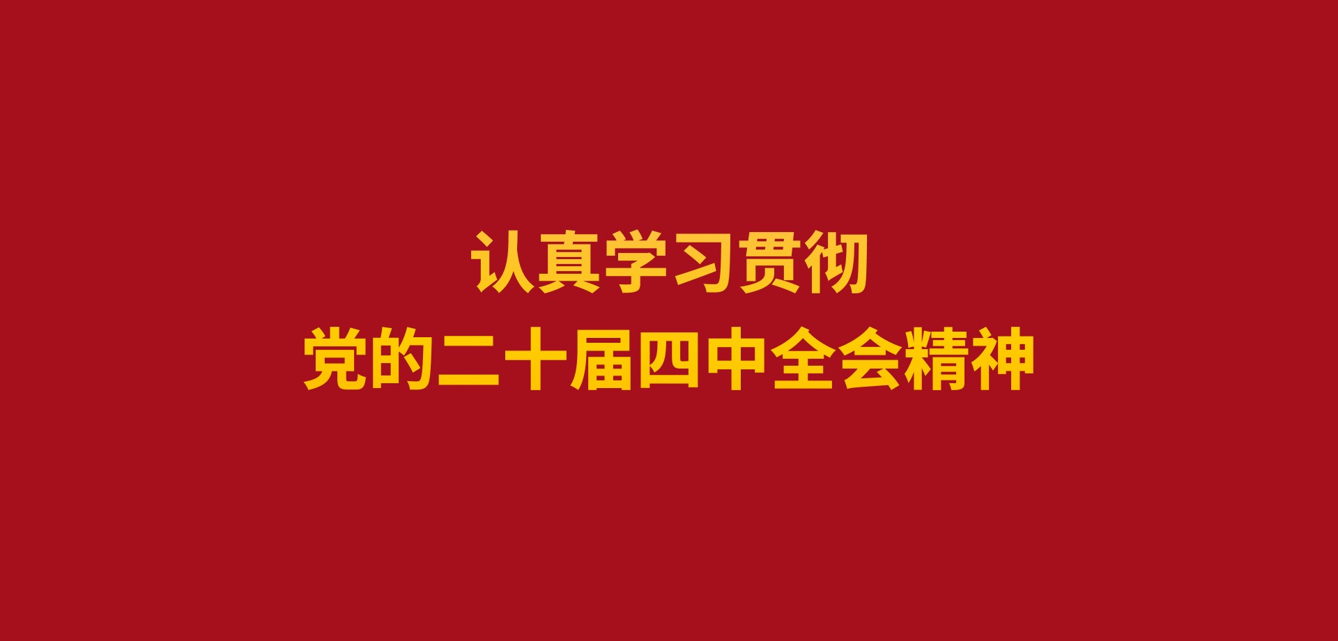 認(rèn)真學(xué)習(xí)貫徹黨的二十屆四中全會精神